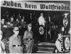 RG-05.06.01.19, Photograph of a Nazi gathering.jpg